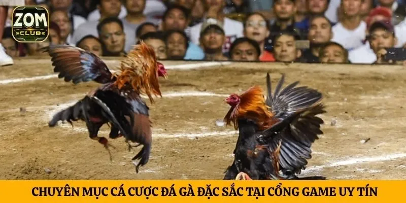 Chuyên mục cá cược đá gà đặc sắc tại cổng game uy tín
