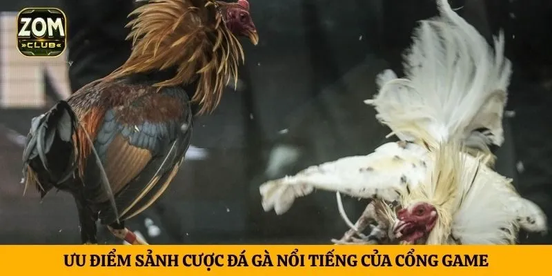 Ưu điểm sảnh cược đá gà nổi tiếng của cổng game